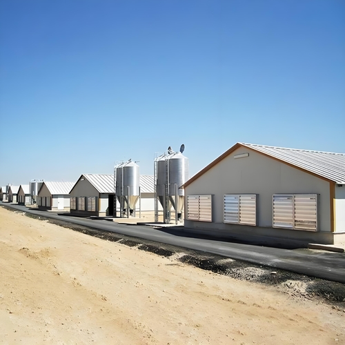 Latest company Solutions about Steel Frame Poultry House