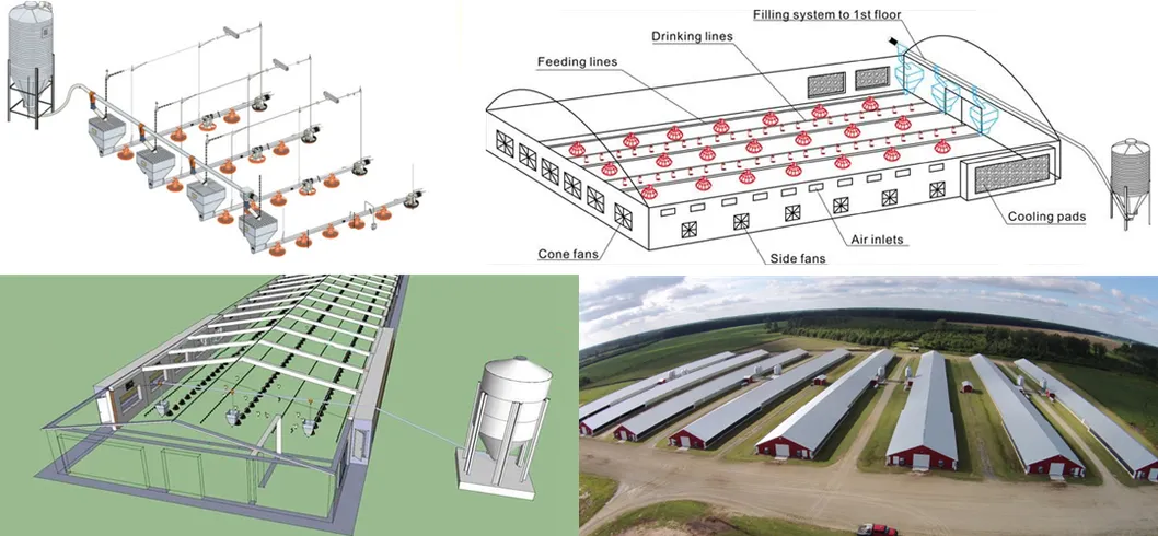 Chicken Poultry Farm Equipment for Broiler House in Philippines with Steel Structure House 0