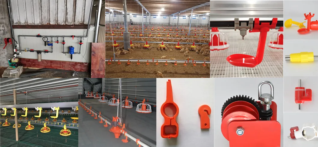 Chicken Poultry Farm Equipment for Broiler House in Philippines with Steel Structure House 2