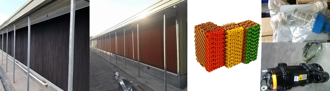 Chicken Poultry Farm Equipment for Broiler House in Philippines with Steel Structure House 4