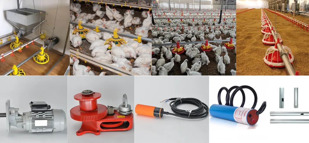 Chicken Poultry Farm Equipment for Broiler House in Philippines with Steel Structure House 1