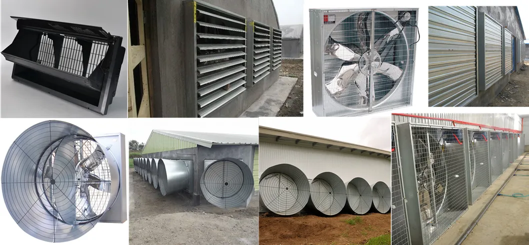 Chicken Poultry Farm Equipment for Broiler House in Philippines with Steel Structure House 3