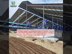 Granja prefabricada a medida Granja de pollo Granja de vacas Granja de cerdos Granja de un solo servicio Granja de pollo Granja de aves Granja de vacas Granja de vacas