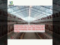 Estructura prefabricada de acero de bajo costo Casa de aves de corral Capa de construcción Jaula Pollo Cerdo Cabra Vaca Granja de cría Granja de ganado en China