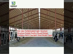 Venta en caliente Prefabricado estructura ligera estructura prefabricada Casa de aves de corral diseño de pollos Granja de vacas Granero cobertizo de pollo capa