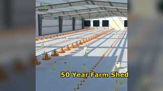50 Year Steel Poultry Farm Shed Built Fast