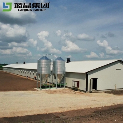 Bom preço Estrutura de aço resistente a terremotos Poultry House Free Design Equipamento completo on-line