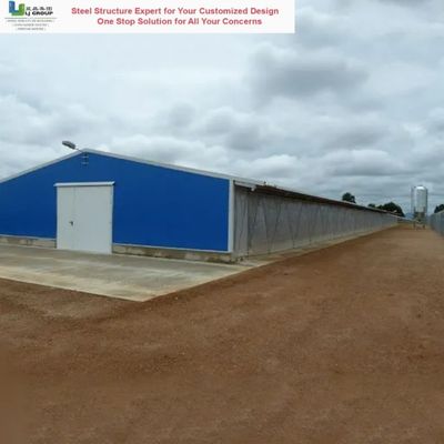 Bon prix Modélisation 3D des structures en acier poulaillerie maison de connexion boulonné acier anti-incendie en ligne