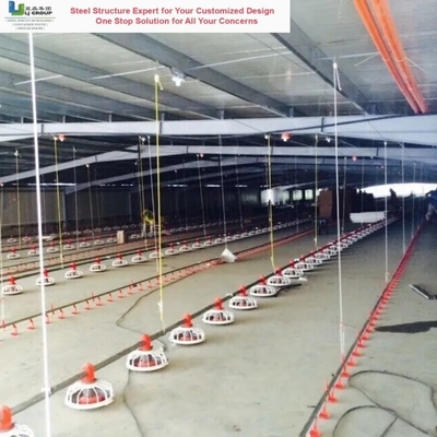 Good price Material Quality Assurance Steel Structure Poultry House Fire Resistant online