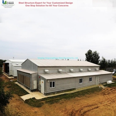 Good price Precision Steel Structure Poultry House Galvanized Steel High Load Bearing online