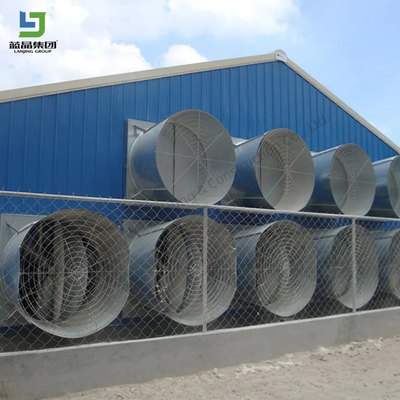 Good price Prefabricated Steel Poultry Barns Farm Shed Design Industrial Chicken House One-stop Service online
