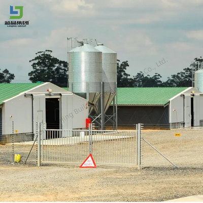 High Quality Chicken Broiler Poultry Farm Steel Structure Shed House  Layer Chicken House Full Set Equipment