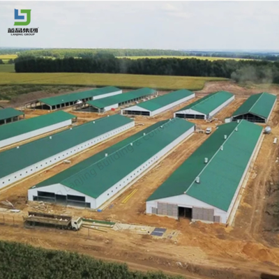 Steel Structure Poultry House with 50-Year Lifespan and Insulated Panels