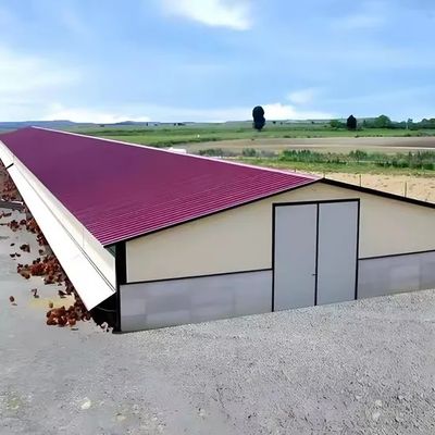 قیمت خوب Steel Poultry Farm House Design Prefabricated Steel Structure Chicken Farm Construction Building آنلاین